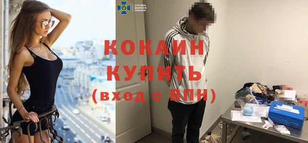 сатива Мегион