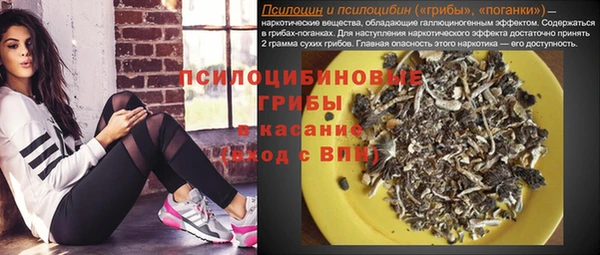 сатива Мегион