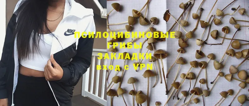 Галлюциногенные грибы Magic Shrooms  omg   Наволоки 